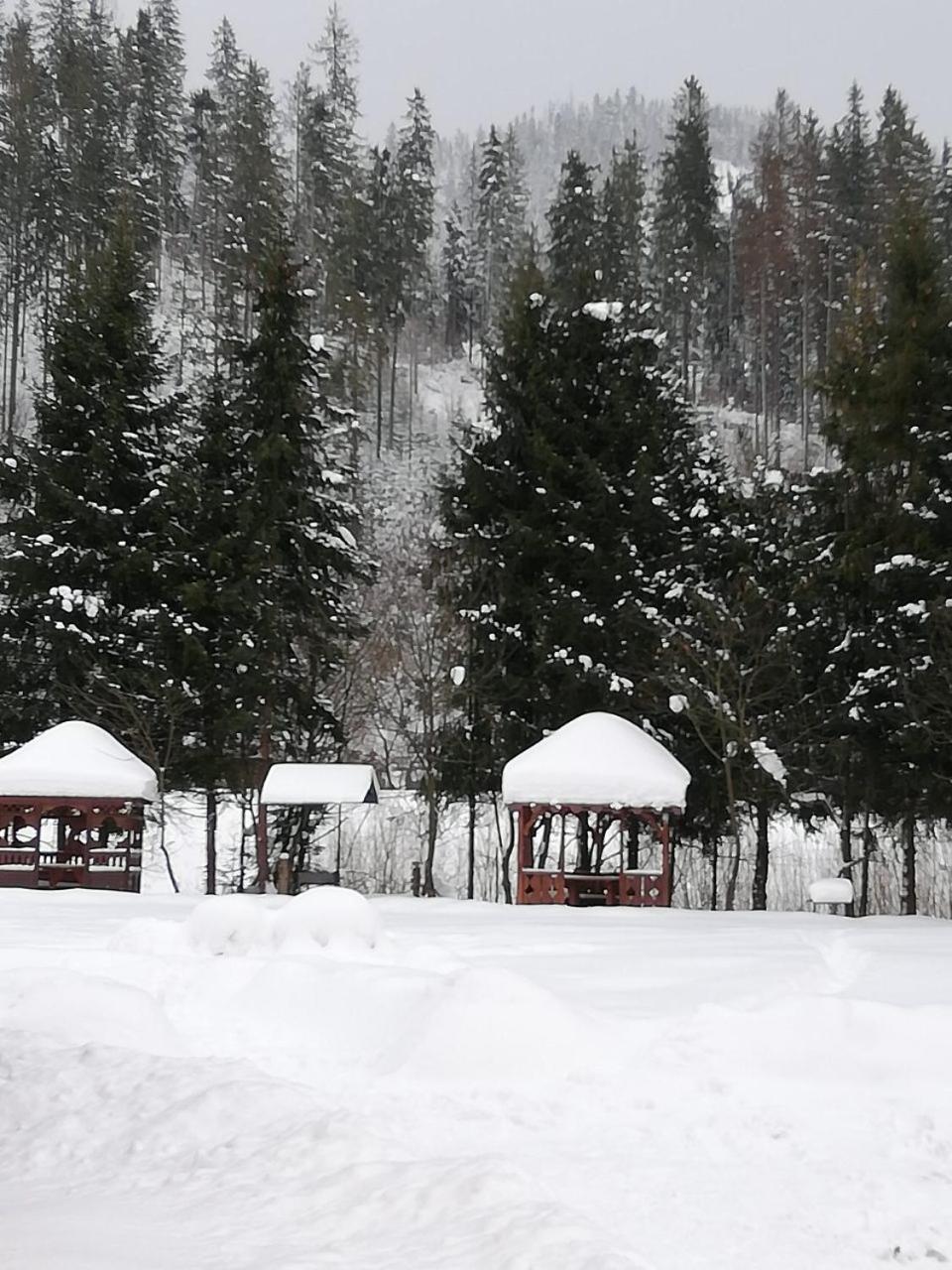 Кукулька Міні-Готель Slavske Buitenkant foto